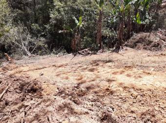 Finca en Higuito, Cerro El Tablazo