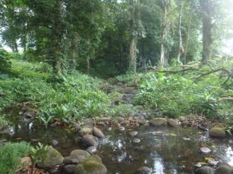 EXCELENTE OPORTUNIDAD DE ADQUIRIR FINCA POR UN BAJO PRECIO.  CG 20-1184.