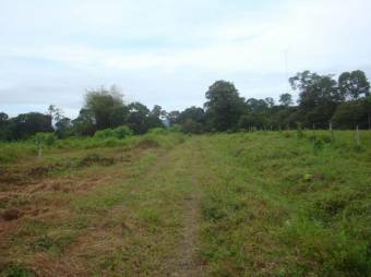 EXCELENTE OPORTUNIDAD DE ADQUIRIR FINCA POR UN BAJO PRECIO.  CG 20-1184.