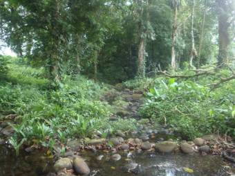 EXCELENTE OPORTUNIDAD DE ADQUIRIR FINCA POR UN BAJO PRECIO.  CG 20-1184.