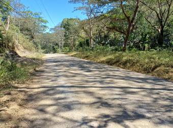 VENTA PROPIEDAD EN PUNTALEONA