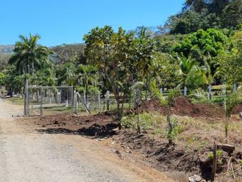 Terreno en Venta en Rio Machuca Orotina Alajuela