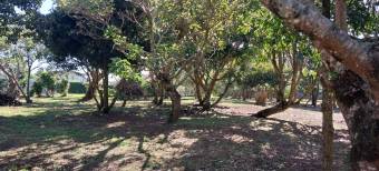 Beautiful lot for sale, Concepcion de San Rafael, 3,500 sq. mtrs. Beautiful lot for sale, Concepcion de San Rafael, 3,500 sq. mtrs.