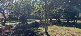 Beautiful lot for sale, Concepcion de San Rafael, 3,500 sq. mtrs. Beautiful lot for sale, Concepcion de San Rafael, 3,500 sq. mtrs.