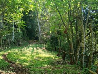 Property for Sale in Atenas Property for Sale in Atenas