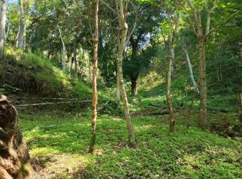 Property for Sale in Atenas Property for Sale in Atenas