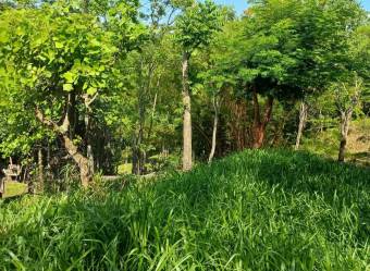 Property for Sale in Atenas Property for Sale in Atenas