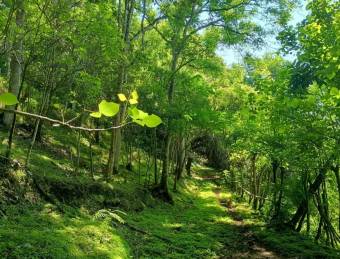 Property for Sale in Atenas