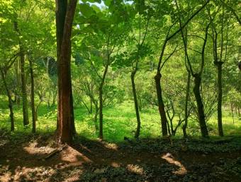 Property for Sale in Atenas Property for Sale in Atenas