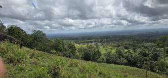 VENTA DE FINCA EN RIO CELESTE
