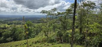 VENTA DE FINCA EN RIO CELESTE