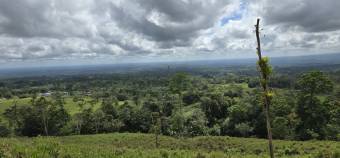VENTA DE FINCA EN RIO CELESTE