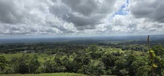 VENTA DE FINCA EN RIO CELESTE