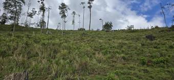 VENTA DE FINCA EN RIO CELESTE