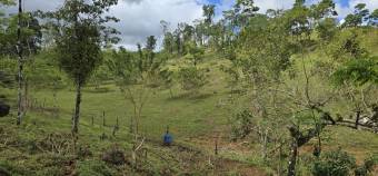 VENTA DE FINCA EN RIO CELESTE