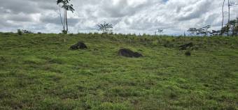 VENTA DE FINCA EN RIO CELESTE