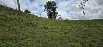 VENTA DE FINCA EN RIO CELESTE