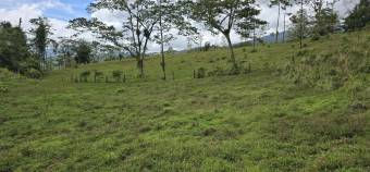 VENTA DE FINCA EN RIO CELESTE