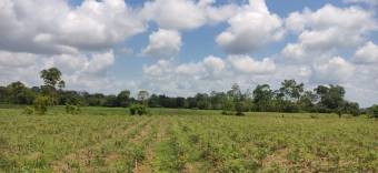 Finca Agrícola La Louisiana del Cairo Finca Agrícola La Louisiana del Cairo