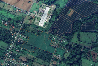 Finca Agrícola La Louisiana del Cairo Finca Agrícola La Louisiana del Cairo