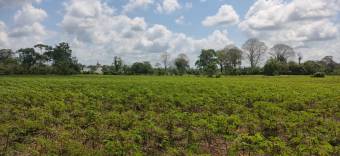 Finca Agrícola La Louisiana del Cairo Finca Agrícola La Louisiana del Cairo