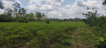 Finca Agrícola La Louisiana del Cairo Finca Agrícola La Louisiana del Cairo