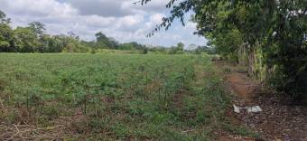 Finca Agrícola La Louisiana del Cairo Finca Agrícola La Louisiana del Cairo