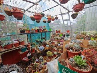 Se vende Casa en Bolivar #26-1640 Se vende Casa en Bolivar #26-1640