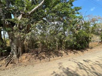 Lote con vista panorámica ideal para desarrollo residencial o inversión inteligente #26-1651 GS