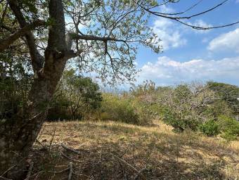 Lote con vista panorámica ideal para desarrollo residencial o inversión inteligente #26-1651 GS