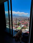 Se alquila apartamento en Carmen San José 26-1708