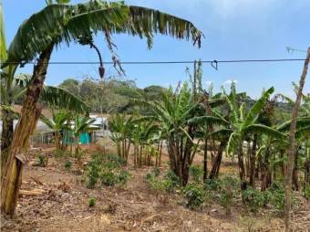 VENTA DE LOTE, ALAJUELA, NARANJO, SAN JUAN - 6398203 VENTA DE LOTE, ALAJUELA, NARANJO, SAN JUAN - 6398203