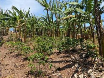 VENTA DE LOTE, ALAJUELA, NARANJO, SAN JUAN - 6398203 VENTA DE LOTE, ALAJUELA, NARANJO, SAN JUAN - 6398203