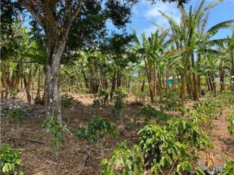 VENTA DE LOTE, ALAJUELA, NARANJO, SAN JUAN - 6398203 VENTA DE LOTE, ALAJUELA, NARANJO, SAN JUAN - 6398203