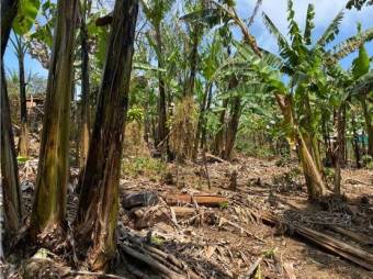 VENTA DE LOTE, ALAJUELA, NARANJO, SAN JUAN - 6398203 VENTA DE LOTE, ALAJUELA, NARANJO, SAN JUAN - 6398203