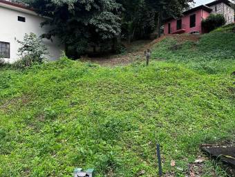 Se vende lote esquinero en Mora San José 26-1097
