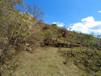 Se  vende lote en Mora San José 25-1098