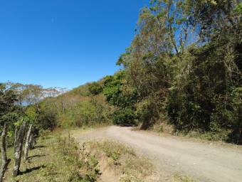 Se  vende lote en Mora San José 25-1098