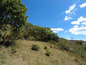 Se  vende lote en Mora San José 25-1098