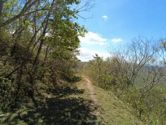 Se  vende lote en Mora San José 25-1098