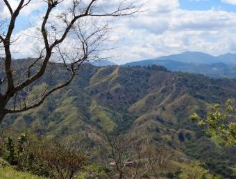 Se  vende lote en Mora San José 25-1098