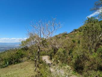 Se  vende lote en Mora San José 25-1098