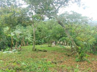 VENTA DE LOTE, ALAJUELA, NARANJO, SAN JERÓNIMO - 9434544