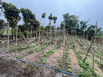 Lote amplio con uso mixto ideal para desarrollo o inversión #26-1709 GS