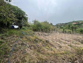 Lote amplio con uso mixto ideal para desarrollo o inversión #26-1709 GS