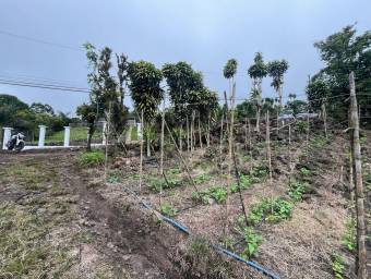 Lote amplio con uso mixto ideal para desarrollo o inversión #26-1709 GS