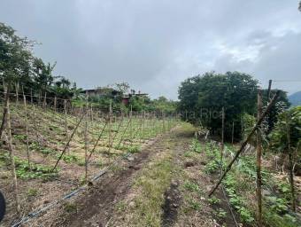 Lote amplio con uso mixto ideal para desarrollo o inversión #26-1709 GS