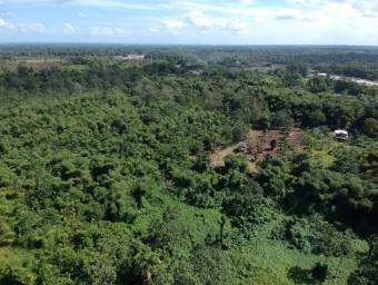 Amplio terreno agrícola ideal para cultivos, ganadería o inversión productiva #26-1702 GS Amplio terreno agrícola ideal para cultivos, ganadería o inversión productiva #26-1702 GS