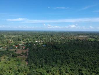 Amplio terreno agrícola ideal para cultivos, ganadería o inversión productiva #26-1702 GS Amplio terreno agrícola ideal para cultivos, ganadería o inversión productiva #26-1702 GS