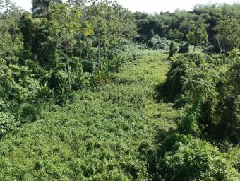 Amplio terreno agrícola ideal para cultivos, ganadería o inversión productiva #26-1702 GS Amplio terreno agrícola ideal para cultivos, ganadería o inversión productiva #26-1702 GS